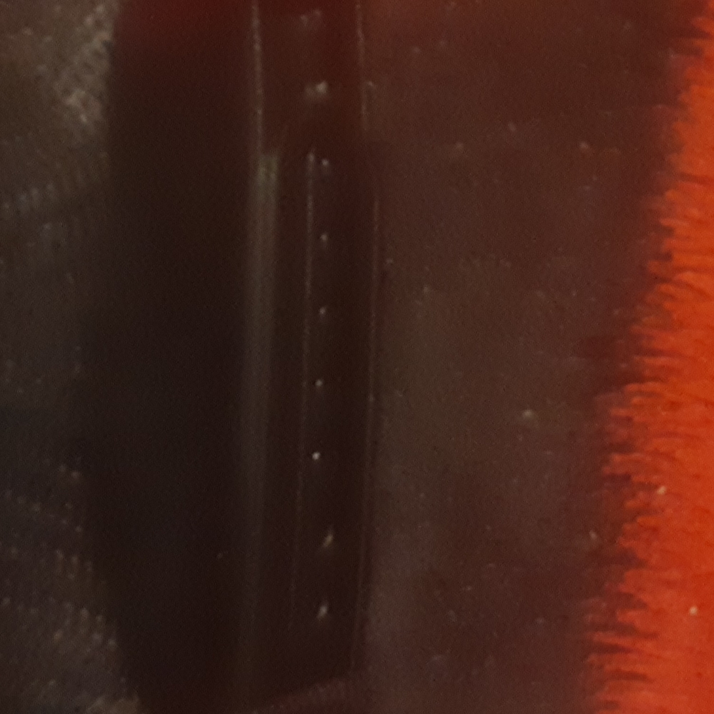 Fox mesh snapback - Picture 5 of 6